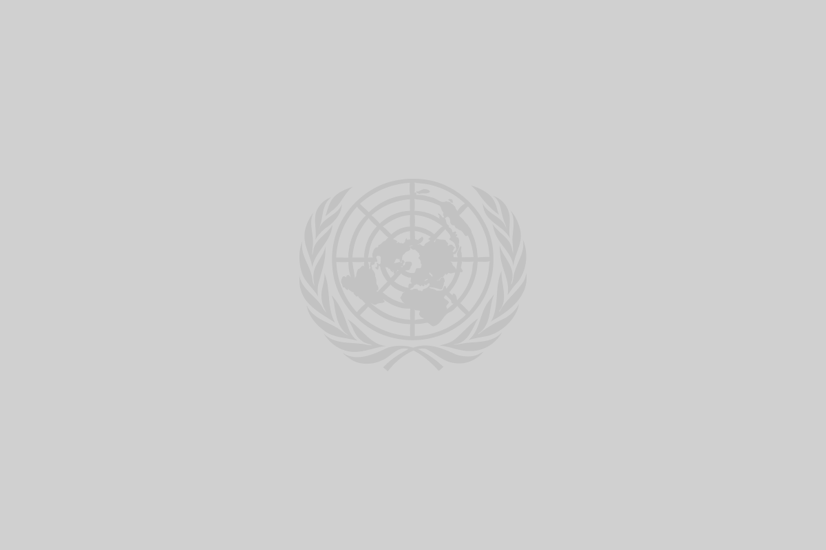 United Nations logo
